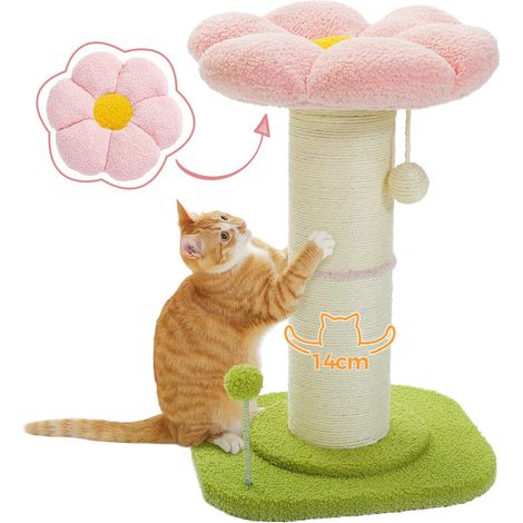 Pawz Road – Arbre à chat fleur 60cm – Griffoir avec coussin amovible et pompon – Diamètre 14cm – Boule à ressort pour chat (1/5)