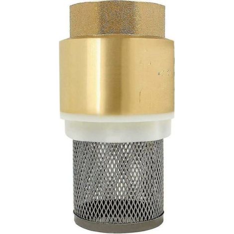 1 Clapet anti-retour 1 pouce, cuivre, filtre acier inoxydable, pression 1,6 MPA, pour pompe eau gaz huile (1/3)