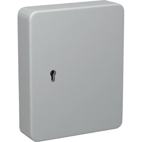 Basi  Cassetta porta chiavi SS 100 PZ 2171-0045 Numero di ganci 35 Grigio (contenitore metallico)