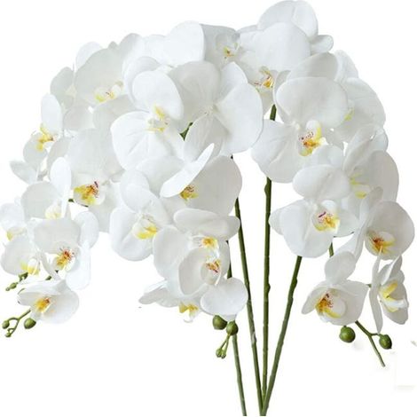 Lot de 4 fleurs artificielles orchidée phalaenopsis blanches 70 cm avec feuilles, décoration florale pour salon et mariage (1/4)