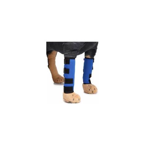 Genouillère de protection pour chien avec bandes de soutien, bleu, taille S – (1/5)