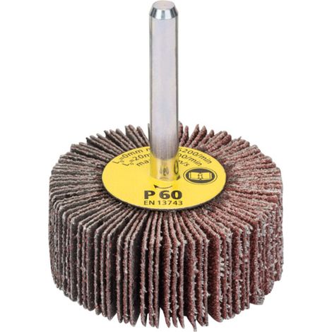 Bosch Lamellenschleifer 6 mm 50 mm 20 mm 60 - 1609200287 (1/5)