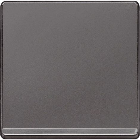 Tecla decorada en cromo difusor en carbono  Siemens Delta MIRO 5TG62705CC01