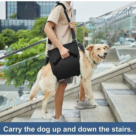 Hundetragetasche, Notfallrucksack, Pfotenstütze und Hunde-Rehabilitationstasche (XL, schwarz), Hebegeschirr zum Krallenschneiden, Tragetasche für ältere Hunde, Verletzungen (1/5)