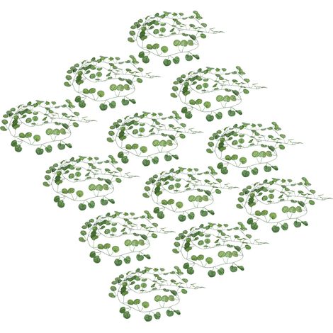 vignes vertes et feuilles de pommier sauvage (1/5)