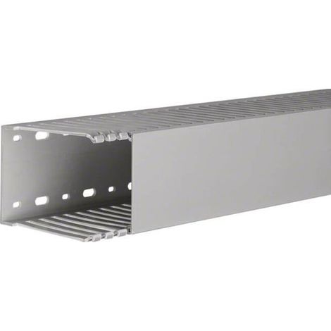Tehalit Verdrahtungskanal DNG 100075 gr 2 Stk