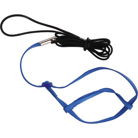 Harnais pour perroquet avec laisse réglable, corde de traction et crochet pour oiseaux et perroquets, bleu royal, taille M (1/5)