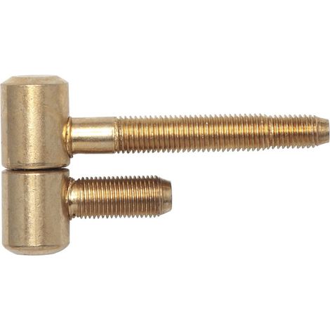 SFS Stahlzargenband 2-tlg. Band 16x41mm,Stahl vermessingt