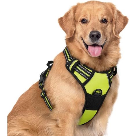 Harnais anti - traction pour chien (1/4)