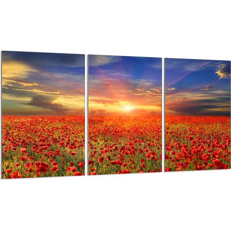 Glasschutzplatte für Herd 3x30x52 (1/5)