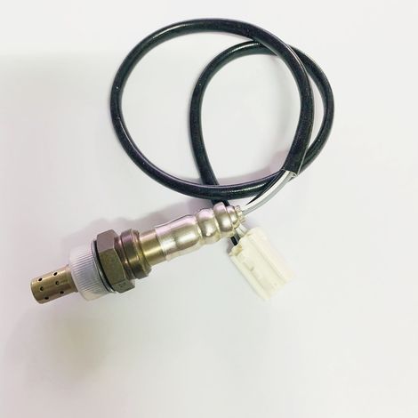 Gilt für den VIDA-Sauerstoffsensor OZA685-WW1 OZA685-WWW WO163304 (1/3)