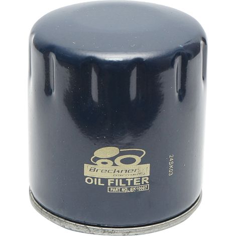 Filtro olio motore Dacia Logan, Sandero II, Dokker, Lodgy 1.5 dCi 15208969 (1/3)
