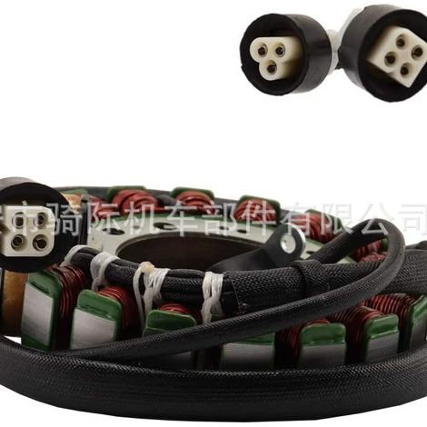 Stator 3HN-85510-00 pour Yamaha Big Bear, Warrior 350, Moto-4 (1/5)