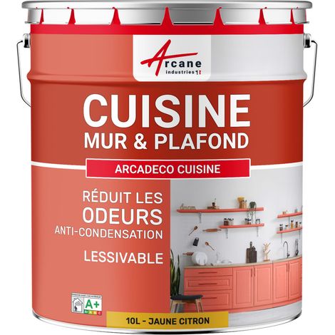 Peinture cuisine, lessivable, absorbe les odeurs - 10 L Jaune citron - RAL 1012 - ARCANE INDUSTRIES (1/5)