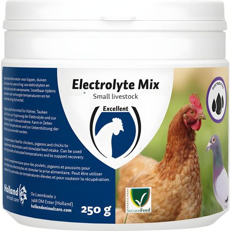electrolyte mix excellent 250 g idratazione digestione