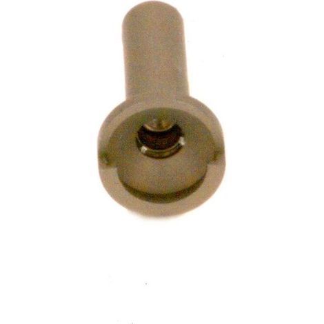 BOSCH Gicleur d'allumage (0,24) (GPL), 87082002690
