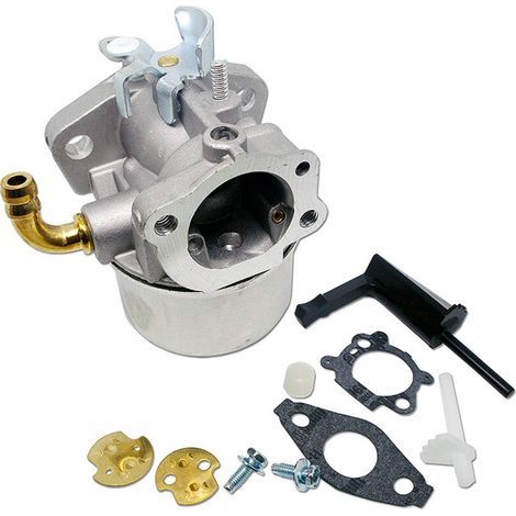 Carburateur compatible avec les modèles 591299, 798650, 698474, 791991, 698810 et 698857 (1/5)