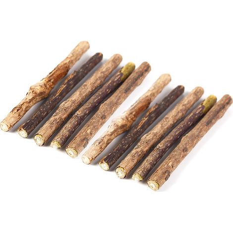 Lot de 10 bâtonnets à mâcher pour chatons, jouet interactif à l'herbe à chat et à la cataire.