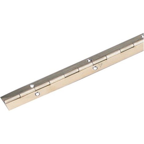 P&G Stangenscharnier B 32mm,L 600mm Edelstahl Edelstahlfarben matt (1/2)