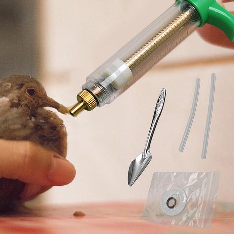 30ml Parrot Hand Feeding Syringe  Baby Bird Nursing & Feeding Tool