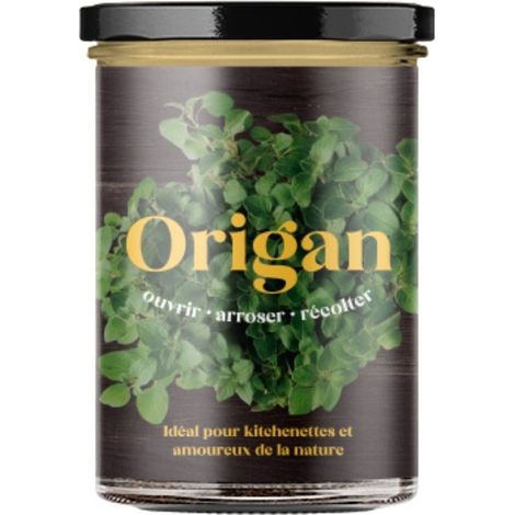 Potager d'origan pour la cuisine (1/5)