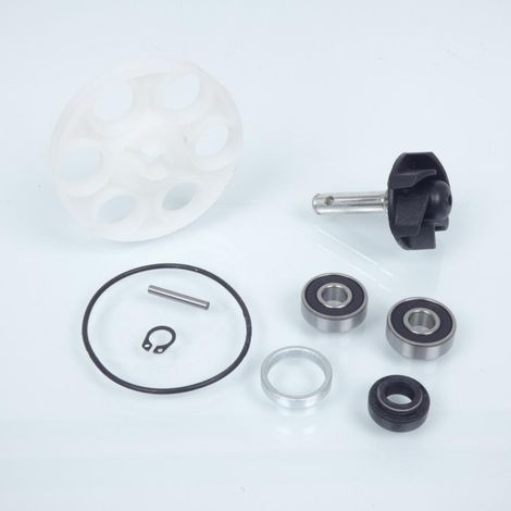 Wasserpumpe kyoto für Roller aprilia 50 amico 1997 bis 1998 neu (1/3)