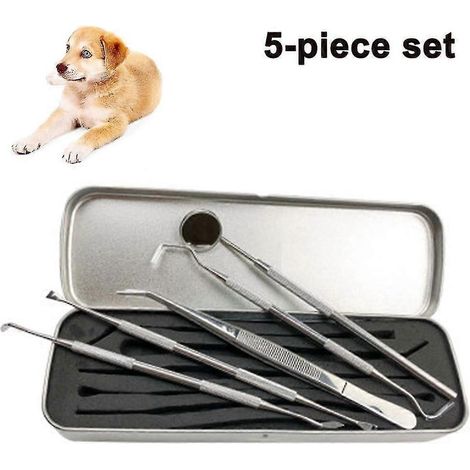 Outils dentaires, détartreur et grattoir dentaire pour chien en acier inoxydable - 5 pièces (1/5)