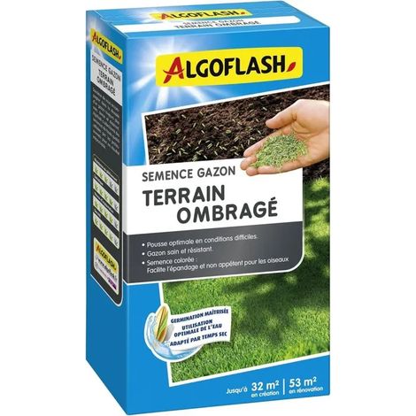 Semi prato - ALGOFLASH - Terreno ombreggiato - 800 g