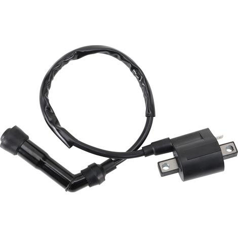 DTEKGAZ - Yamaha YFM660 Hochspannungs-Zündspulenstecker Kompatibel mit Raptor 660 Offroad-Motorrädern und Karts (2001–2005) Hochtemperaturbeständiger Reparaturkabelbaum (1/4)