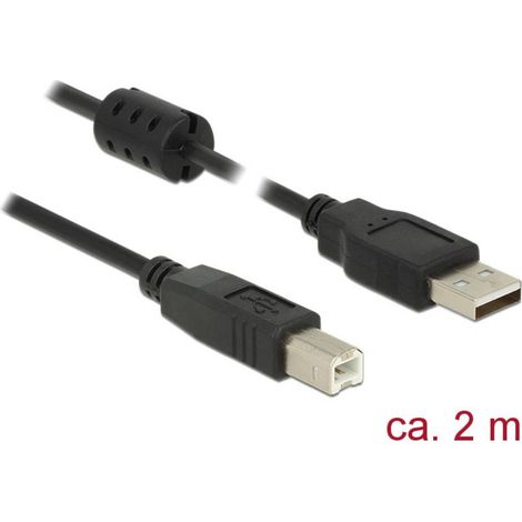Delock Câble USB USB 2.0 USB-A mâle, USB-B mâle 2.00 m noir avec noyau en ferrite 84897 (1/4)
