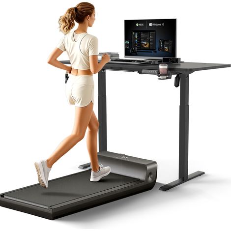TolleTour Elektrischer Schreibtisch höhenverstellbar 120x60 cm – Einmotor Tischgestell 2-stufig 55x55 mm, Sitz-Steh Tisch mit Tischplatte, Schwarz