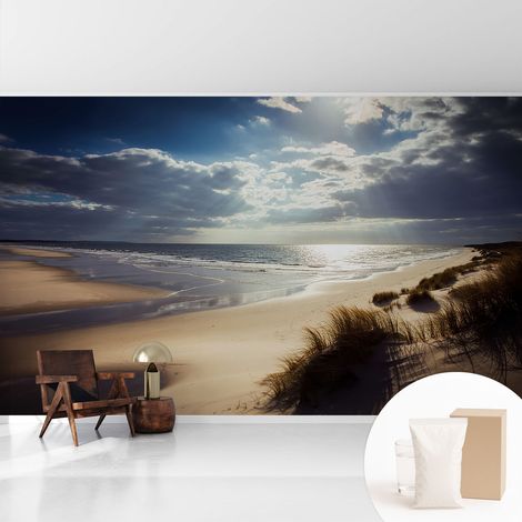Papier peint intissé mural avec imprimé motifs décoratifs - style contemporain - Colle incluse gratuite Rive rayonnante 416x254 cm (1/5)
