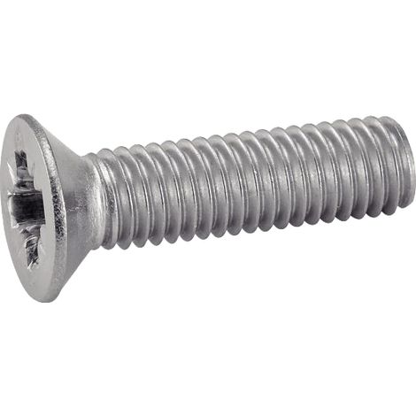 Viti acton m6x25 acciaio inox A4 filettatura completa Pozidrive