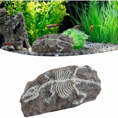 Dinosaure Fossile Décoration pour Aquarium et Terrarium Réplique Réaliste d'Animal Préhistorique - AUTRES (1/5)