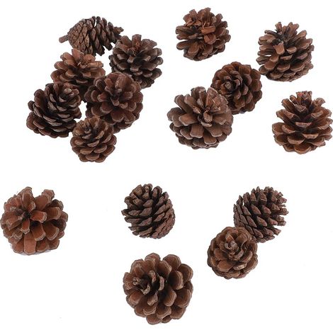 Lot de 16 pommes de pin naturelles décoratives à suspendre pour fête de Noël