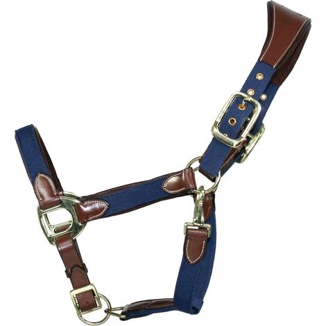EQuest Halfter Unique für Pferde - Messing Finish, Cognac/Navy - M Vollblut (1/2)