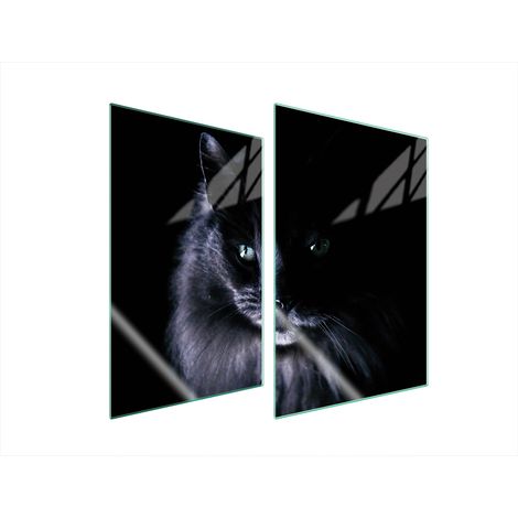 Plaque de protection en verre POUR la cuisine 2x35x52 CAT (1/5)