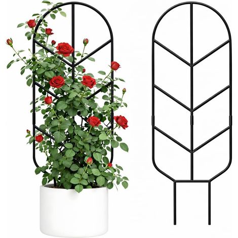 Lot de 2 supports pour plantes grimpantes en métal de 76 cm, structure de support décorative adaptée aux plantes en pot (1/5)