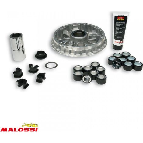 malossi variator für roller yamaha 400 majesty nach 2009 5114148 (1/2)