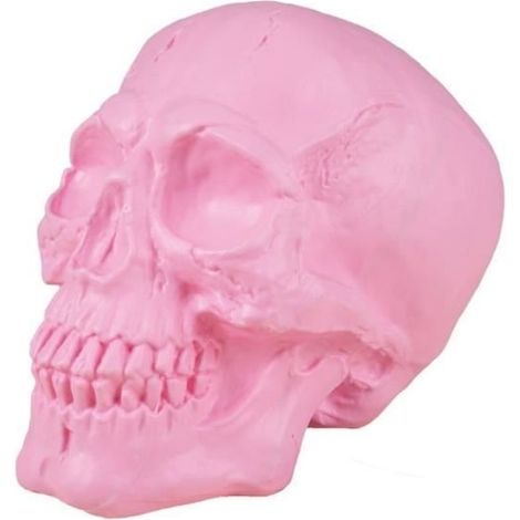 Crâne décoratif - 18 cm - Plastique - Rose - Décoration Halloween