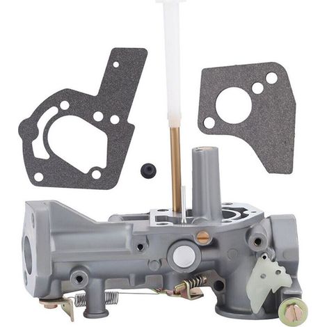 Convient pour carburateur Briggs & Stratton 495459 495460 499952 499953 5HP (1/4)