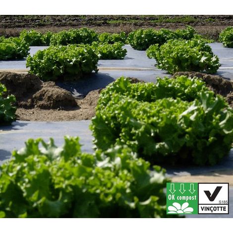 Direct Filet – Film de paillage noir biodégradable en PLA 1,40m x 10m – Épaisseur 15µ – Certifié OK Compost – Pour cultures maraîchères (1/3)