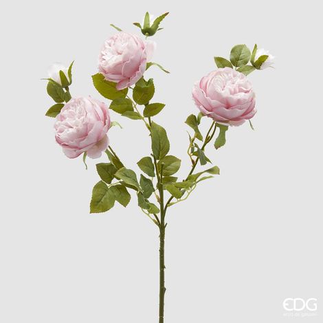 EDG Ramo Di Rosa Sonia Con Foglie E Bocciolo H 65 Rosa (1/4)