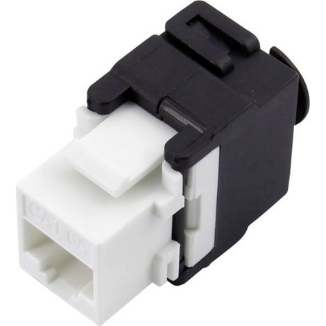 TRU COMPONENTS RJ45 Kupplung, CAT 6a 93038C361 Kupplung, gerade Polzahl Sensoren 8 Schwarz, Weiß (1/2)