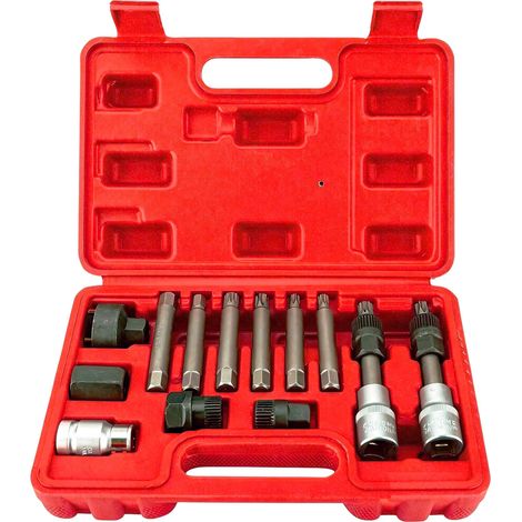 13pcs Coffret Douille Poulie Alternateur, 1/2" Outil Poulie Alternateur, Clé Poulie Roue Libre Alternateurs avec 33 Dents, Extracteur Demontage Alternateurs pour VW VAG Fiat (Rouge) (1/5)