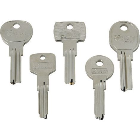 Assortimento 250 chiavi punzonate per serrature domestiche – Modelli vari – Silca