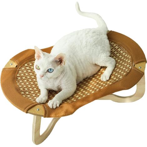 Lit Rafraîchissant en Rotin pour Chats, Lit Suspendu (1/5)