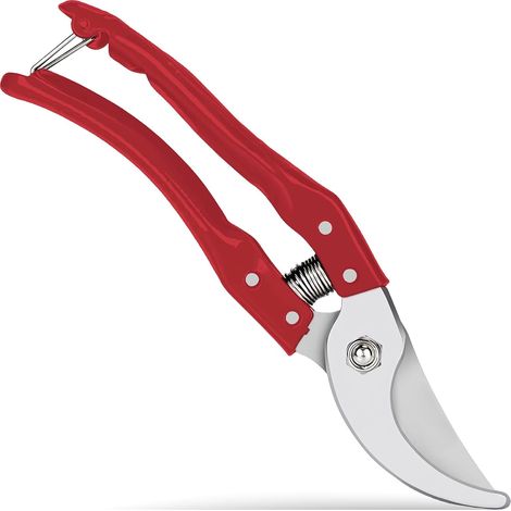 Ciseaux à onglons, coupe-onglons pour chèvres, coupe-onglons, coupe-onglons pour chèvres acier inoxydable, coupe-ongles pour moutons, coupe-onglons pour chèvres, moutons et porcs, rouge (1/5)