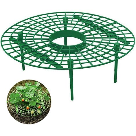 Support de culture de fraises pratique rack pour fraisiers tuteur pour plantes grimpantes (1/3)