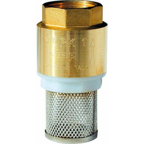 Crépine laiton filtre inox Femelle 2" (1/3)